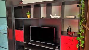 TV en una estantería de libros con TV en Casa Usignolo, en Perugia