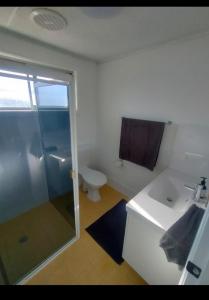 a bathroom with a shower and a sink and a toilet at Avondale Apartment in Lismore