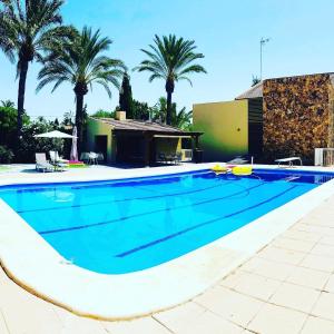 une grande piscine avec des palmiers en arrière-plan dans l'établissement El Campirri, à Daimés