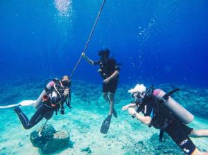 un grupo de tres personas buceando en el agua en Diversia Diving Club & Bungalows, en Gili Trawangan