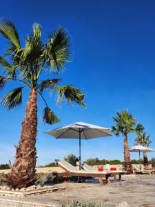 two palm trees and a table and umbrella on a beach at Villa Melody Novalja in Novalja