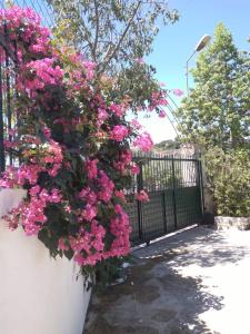 Fotografie z fotogalerie ubytování Oasis Hostel v destinaci Himare