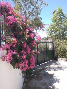 a black fence with pink flowers on it at Oasis Hostel in Himare