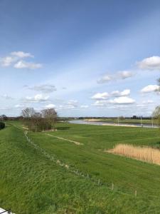 un campo con una valla en el medio en Ferienhaus Mühle "Neue Hoffnung" en Beidenfleth