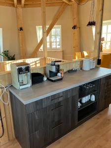 a kitchen with a counter top with a microwave at Ferienhaus Mühle "Neue Hoffnung" in Beidenfleth