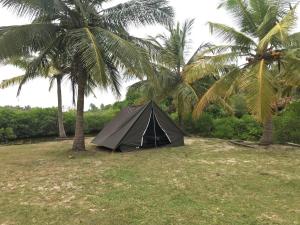 a black tent sitting under two palm trees at Salt Bay Kite Resort in Kalpitiya