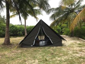 czarny namiot siedzący na trawie pod palmami w obiekcie Salt Bay Kite Resort w mieście Kalpitiya