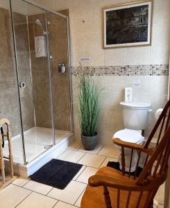 a bathroom with a shower and a toilet at The Old Posthouse B&B in Caenby