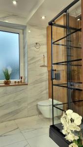 a bathroom with a toilet and a glass shower at Apartament Renii in Tomaszów Mazowiecki