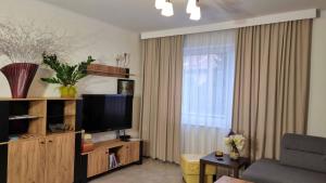 a living room with a television and a window at Apartament Renii in Tomaszów Mazowiecki