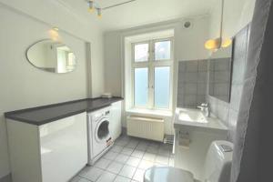 2 Bedroom Flat in Trendy Area في كوبنهاغن: حمام مع مغسلة وغسالة ملابس