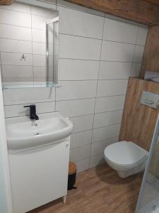 a bathroom with a sink and a toilet at Madekszówka -pokoje gościnne in Ściegny