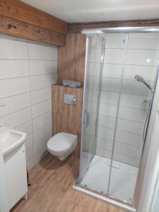 a bathroom with a shower and a toilet at Madekszówka -pokoje gościnne in Ściegny