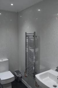 a bathroom with a shower and a toilet and a sink at 4 Woodyard Cottages, 2 Bedroom with free parking. in Long Sutton