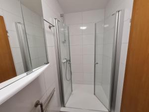 eine Dusche mit Glastür im Bad in der Unterkunft Schöne helle Wohnung in Malsch in Malsch