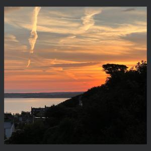 a sunset over a body of water with a tree at Uno St Ives - Luxury Serviced Accommodation in St Ives
