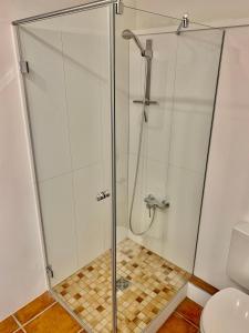 een douche met een glazen deur in de badkamer bij RES 112 - Residenz - Ferienwohnung "Momente" in Scharbeutz