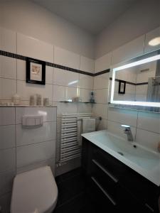 a bathroom with a sink and a toilet and a mirror at Aal 6EG in Haffkrug