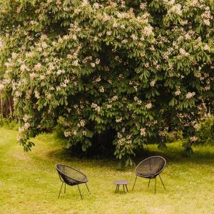 dos sillas y una mesa frente a un árbol en Ecolodge La Belle Verte, en Saint-Mʼhervé