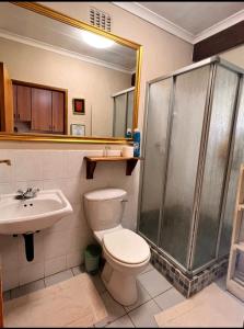 a bathroom with a shower and a toilet and a sink at OakTree Guest House in Sandton