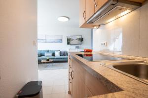 沙博伊茨H3 53 - Hanseat - Außenschwimmbad的带水槽的厨房和客厅