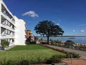 沙博伊茨H3 53 - Hanseat - Außenschwimmbad的一座在水边设有绿色草坪的建筑