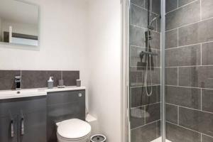 a bathroom with a shower and a toilet and a sink at Lovely 2 Bedroom Apartment in Central Hull in Hull