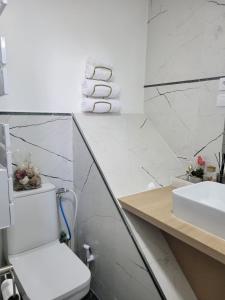 a white bathroom with a toilet and a sink at Appartement COSY proche de Paris in Chambourcy