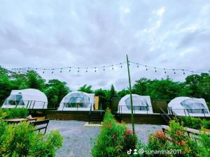 a group of domes in a garden with trees at River hill khaoyai camping in Pong Talong