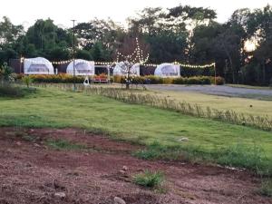 River hill khaoyai camping外面的花园