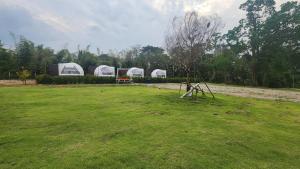 River hill khaoyai camping外面的花园