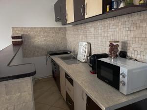 a kitchen with a counter top with a microwave at Casuta cu Dumbrava in Bran +32 photos