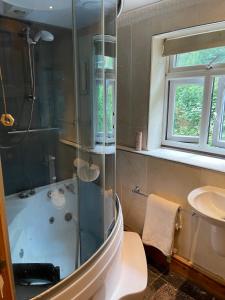 a bathroom with a shower and a toilet and a sink at Llangollen cosy apartment in Llangollen