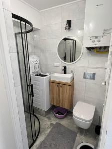 a bathroom with a toilet and a sink and a mirror at Apartament 2 pokoje, Przemyśl, 1 piętro in Przemyśl