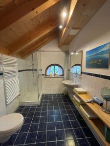 ein Bad mit einer Dusche, einem WC und einem Waschbecken in der Unterkunft See Cafe Toni in Rimsting