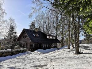 ein großes Holzhaus im Schnee mit Bäumen in der Unterkunft Nadgalerii Soláň in Velké Karlovice