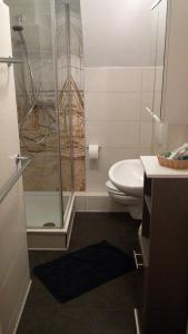 シャルボイツにあるAppartment Holidayのバスルーム(ガラス張りのシャワー、トイレ付)