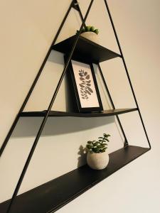 una estantería negra con una planta y una foto en Cosy 3 Bed Home City Centre, en Parkside