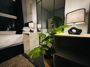 Dormitorio con cama, planta y lámpara en Cosy 3 Bed Home City Centre, en Parkside
