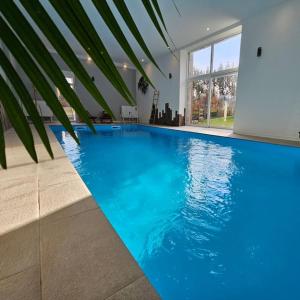 Φωτογραφία από το άλμπουμ του Gîte maison entière, piscine intérieure chauffée privée, proche Alsace σε Entre-deux-Eaux