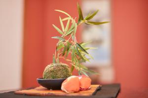a plant sitting on a table next to a plate with a plant at Hakone Yumoto Base in Hakone