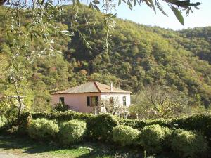 una pequeña casa blanca frente a una montaña en Borgata Castello, en Chiusanico
