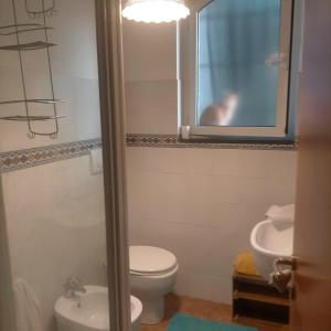 La salle de bains est pourvue de toilettes, d'un lavabo et d'un miroir. dans l'établissement The House In The Green affitta camere, à Casarza Ligure