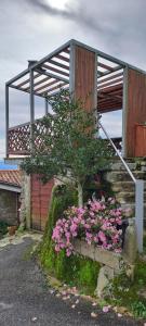 a tree with pink flowers in front of a building at Caramulo - Abrigo Serrano in Carvalhal da Mulher