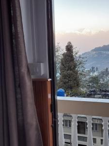 a window with a view of a christmas tree at Yalung Homestay in Darjeeling +19 photos