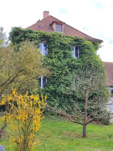 a house covered in ivy with a tree at Monteurwohnung bis 6 Personen mit 4 gratis Parklätzen und Grill und WLAN 3x Schlafzimmer in Veitshöchheim