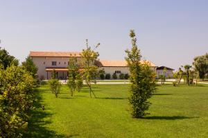 een rij bomen in een veld met een gebouw bij Agriturismo Ca' Manzato in Passarella