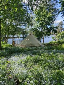 a tent in the middle of a field of flowers at Ruustinnan telttamajoitukset in Saarijärvi