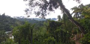 Vue sur une forêt avec des montagnes en arrière-plan dans l'établissement Lions Villa & Resort, à Deniyaya