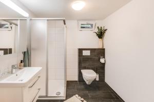 un bagno con un water e un lavandino di Alpen Bijou mit Bergkulisse & Liebe zum Detail ad Adelboden Altre 13 foto